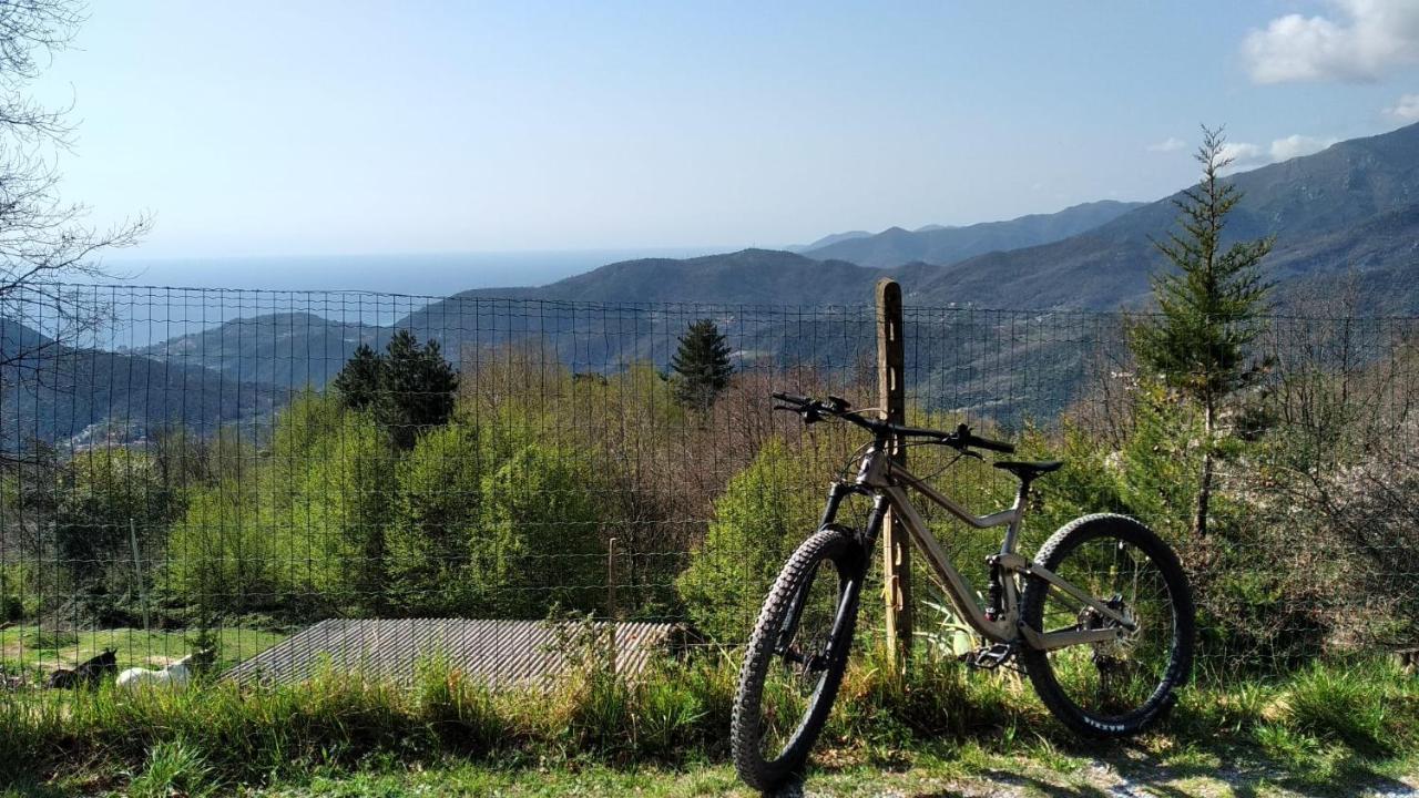 Casa Di Anna Bed & Breakfast Tovo San Giacomo Luaran gambar